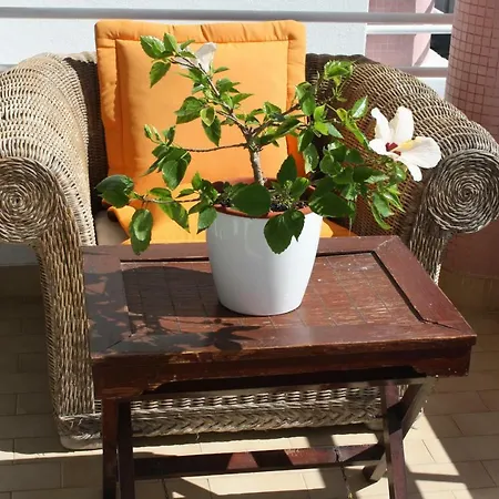 Apartamento Casa Estrela Do Mar Quarteira